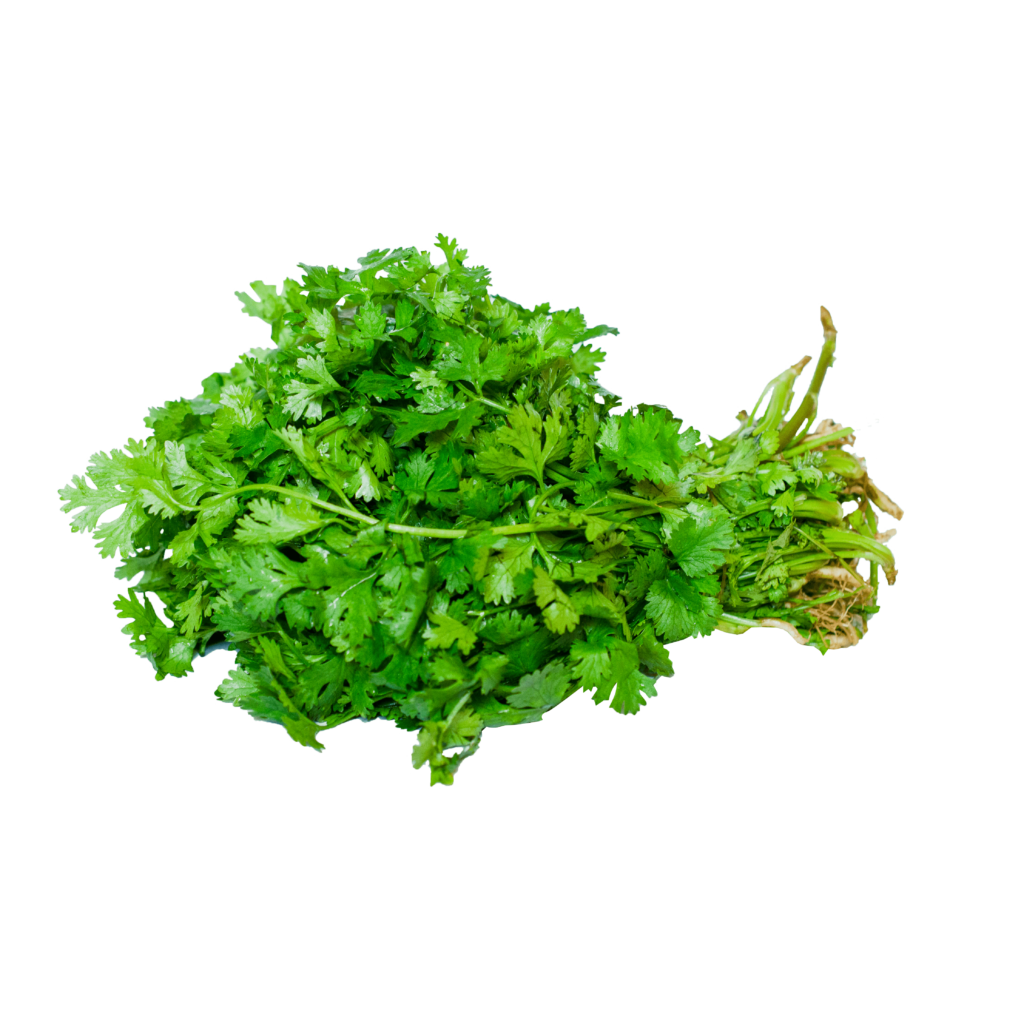Coriander leaves (dhonia pata) to ZASS Organic